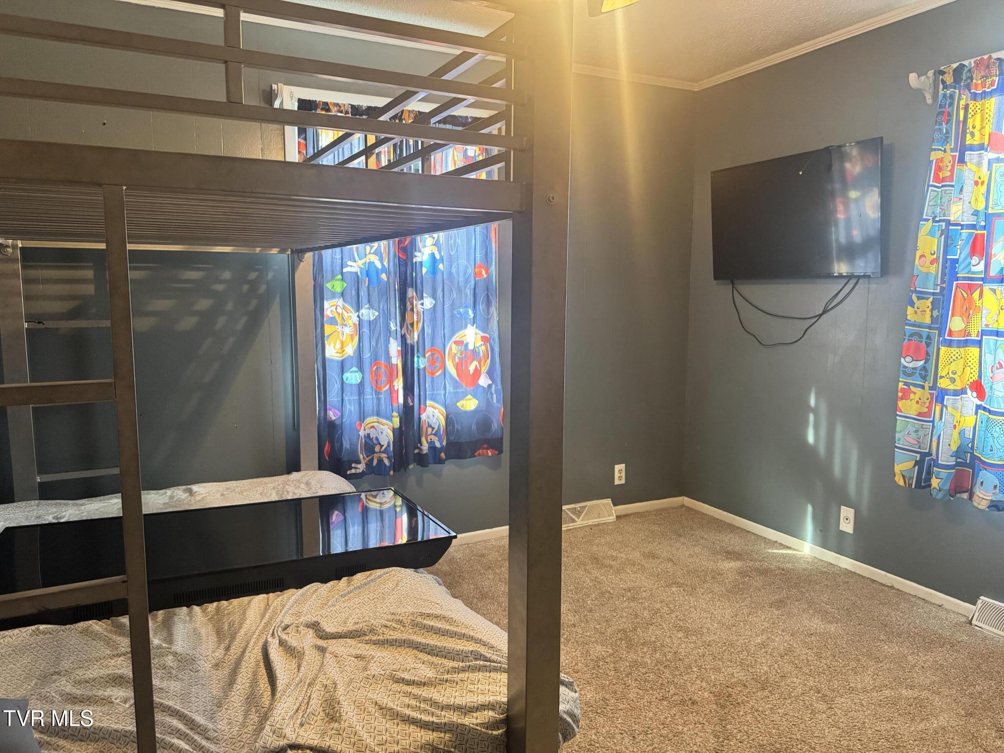 208 Sycamore Street Erwin, TN 37650 - Photo 35 of 48 IMG_5115