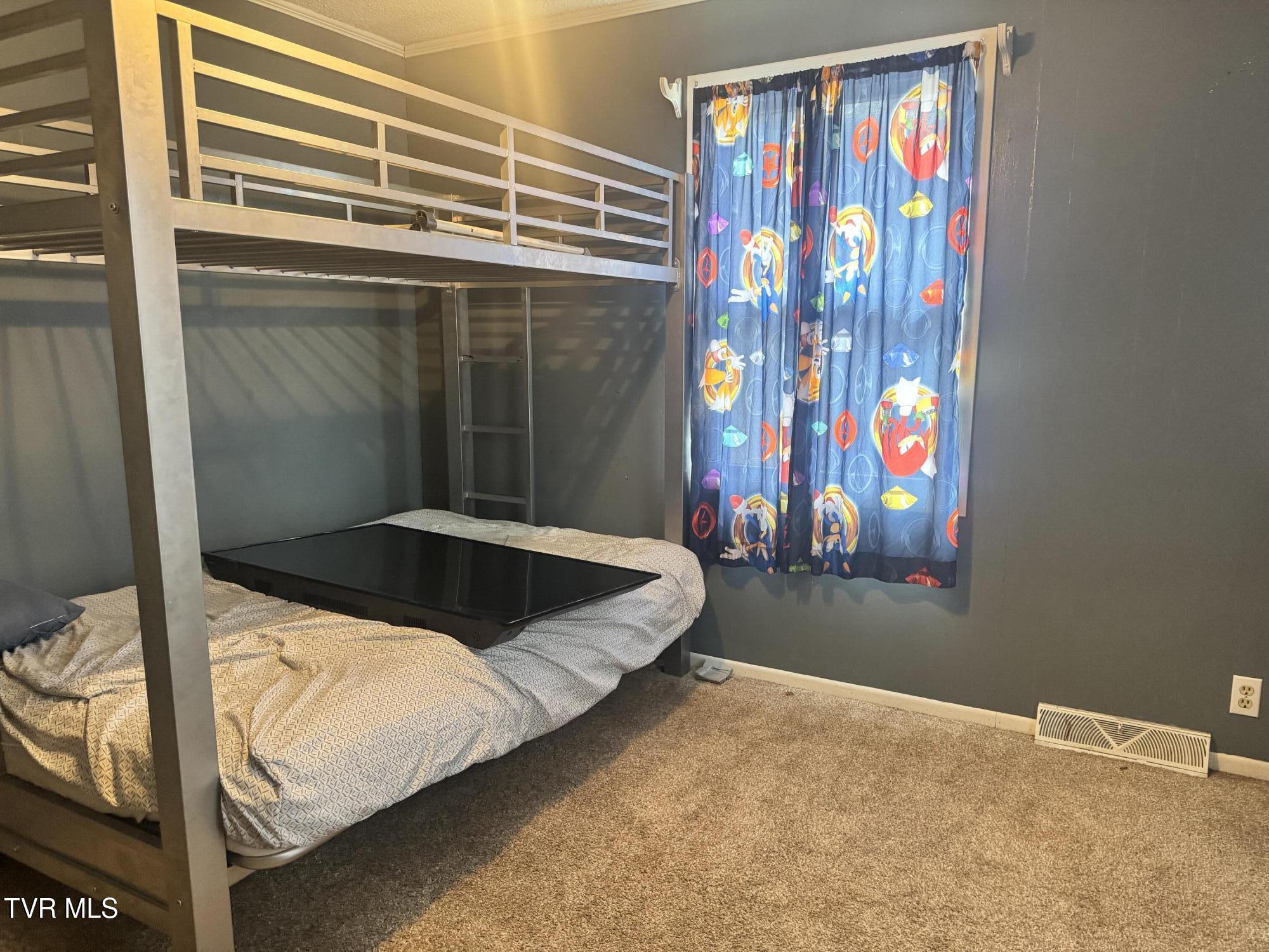 208 Sycamore Street Erwin, TN 37650 - Photo 37 of 48 IMG_5117