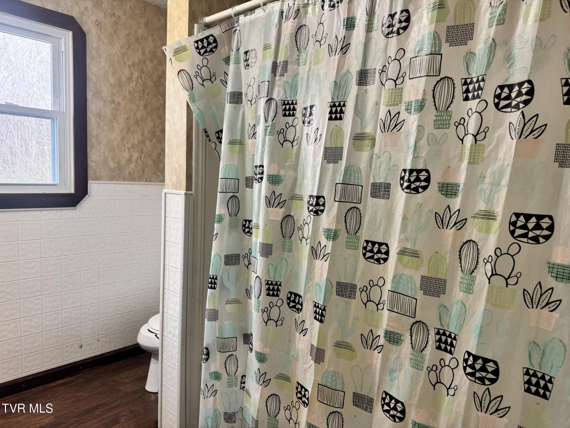 208 Sycamore Street Erwin, TN 37650 - Photo 38 of 48 IMG_5105