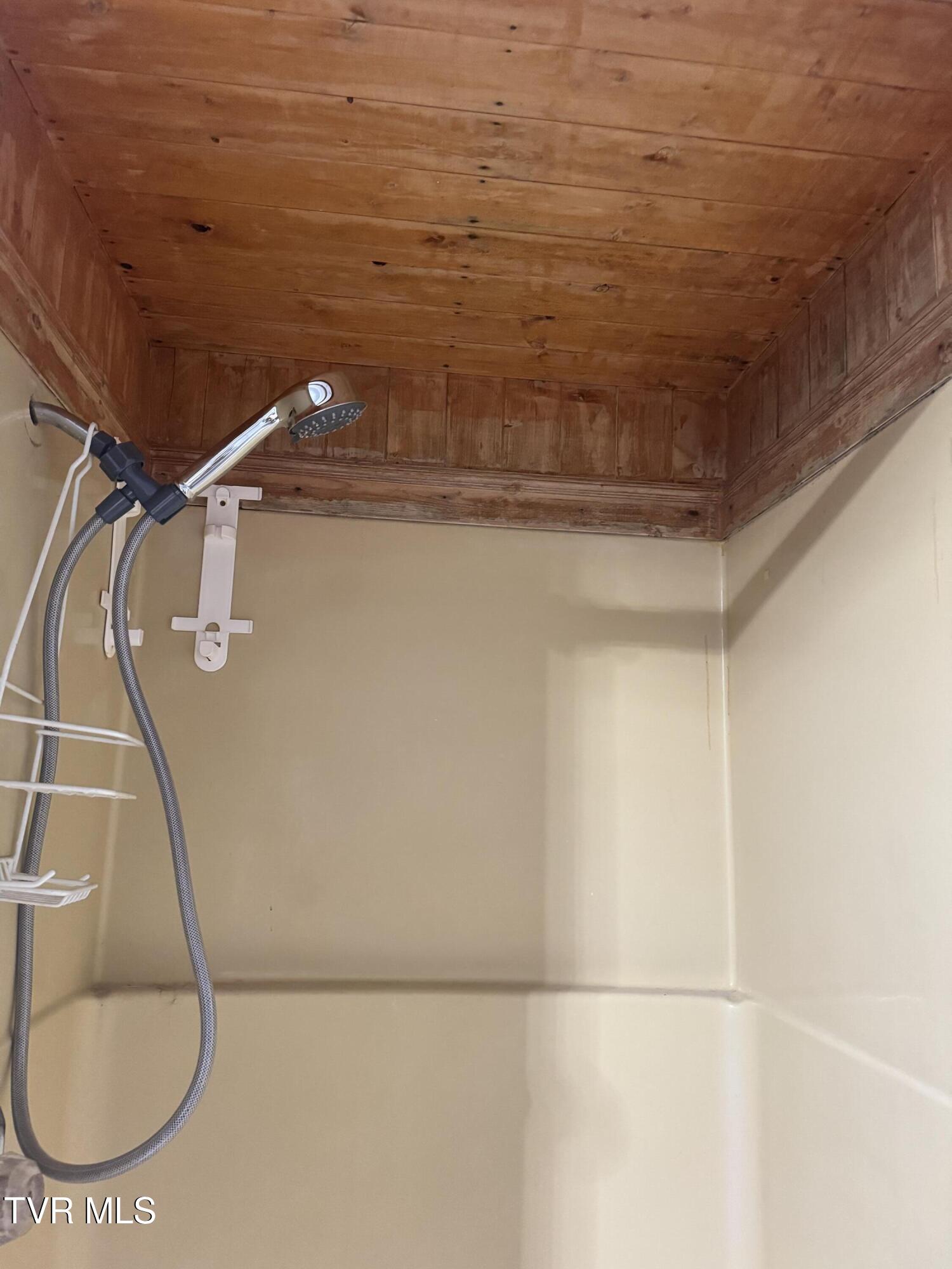 208 Sycamore Street Erwin, TN 37650 - Photo 46 of 48 IMG_5122