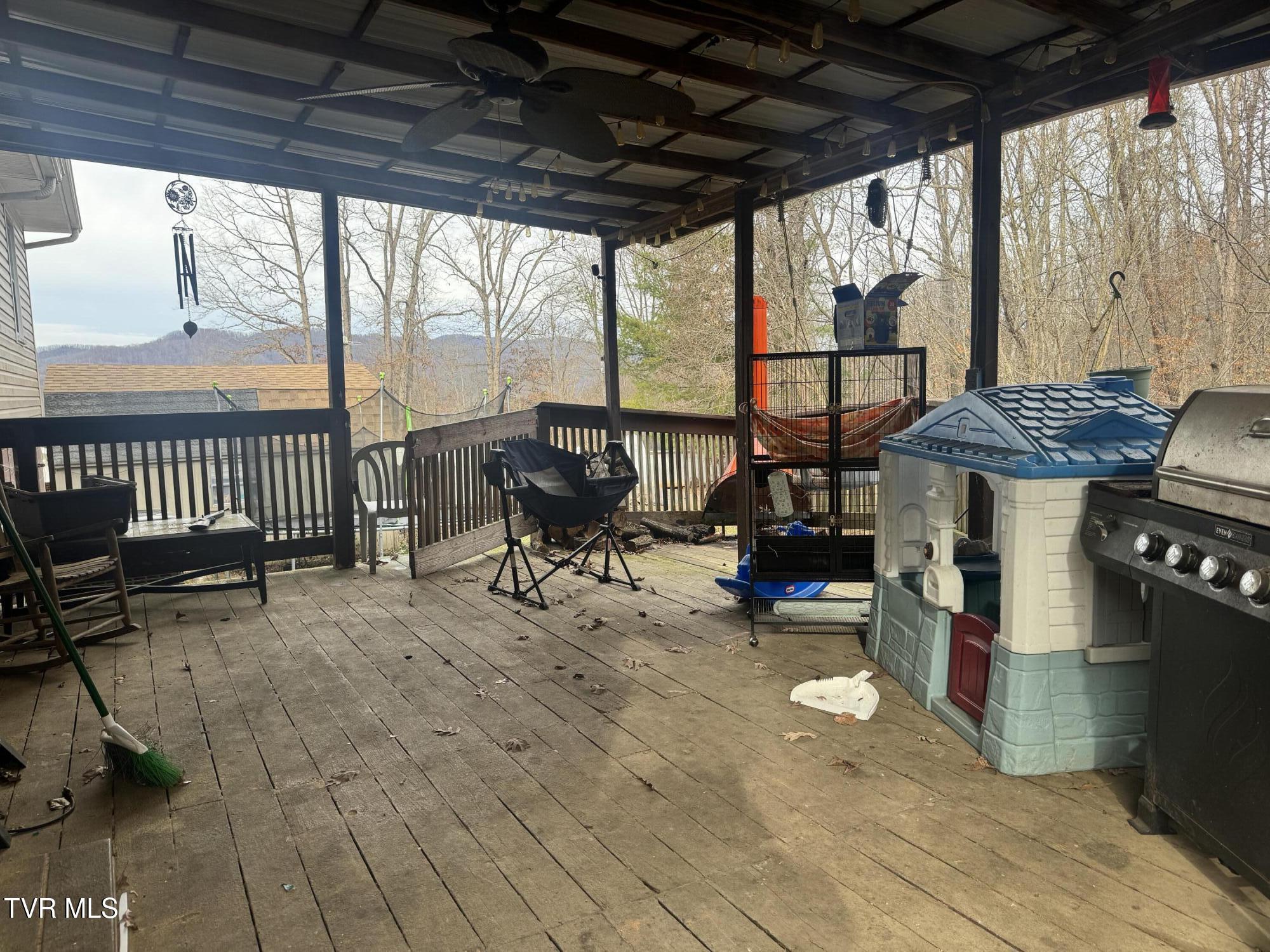 208 Sycamore Street Erwin, TN 37650 - Photo 48 of 48 IMG_5131