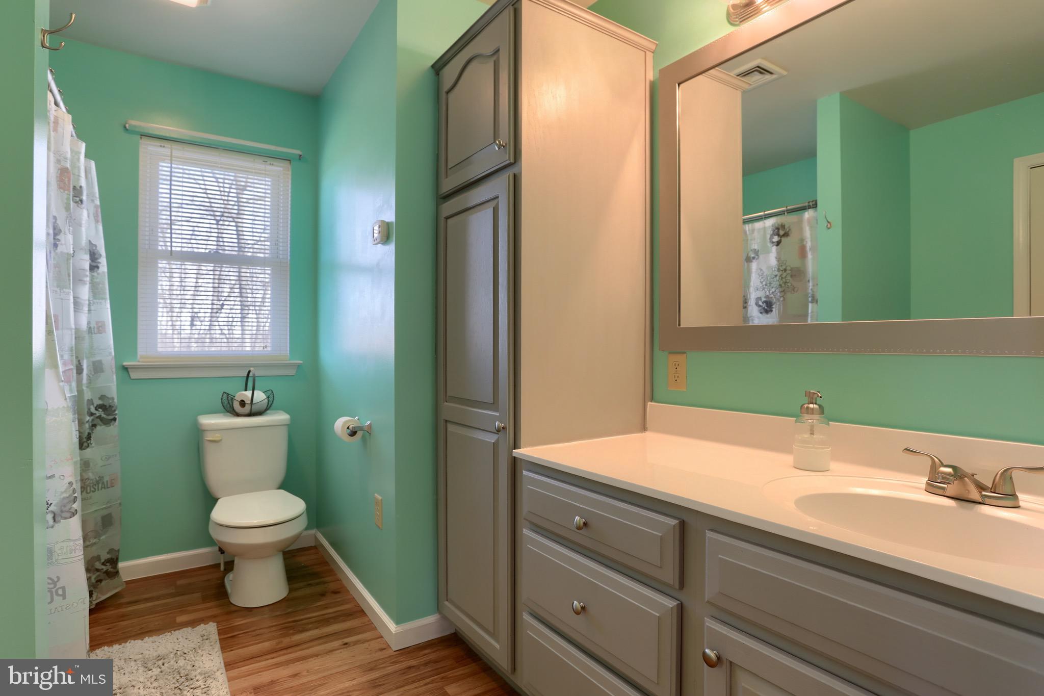 109 Teen Challenge Road Womelsdorf, PA 19567 - Photo 29 of 52 2nd floor bath with connecting entrance to primary