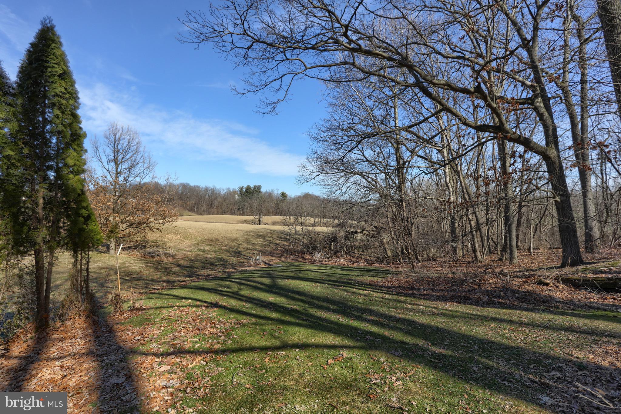 109 Teen Challenge Road Womelsdorf, PA 19567 - Photo 38 of 52 Backyard