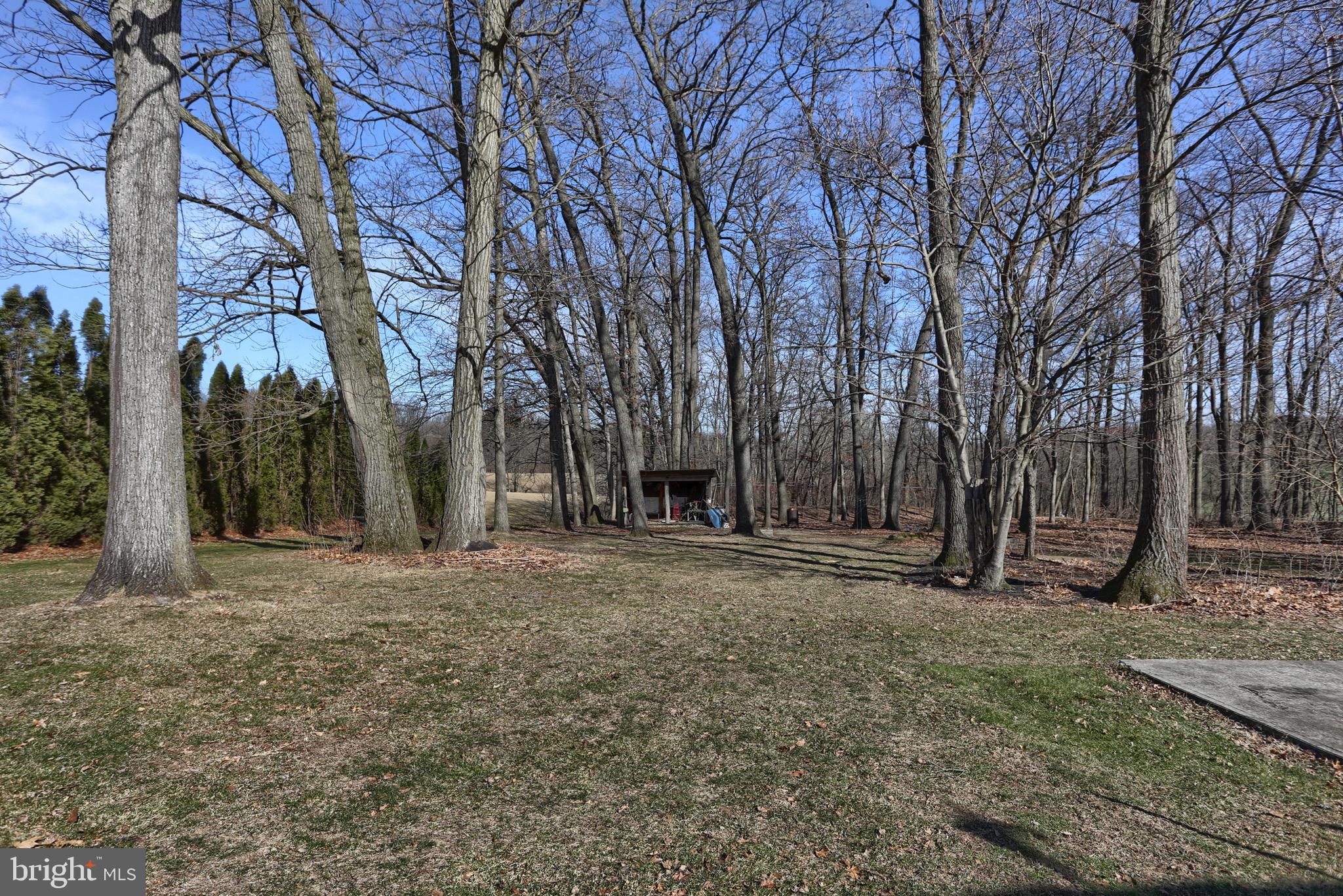 109 Teen Challenge Road Womelsdorf, PA 19567 - Photo 41 of 52 Gallery Image 41