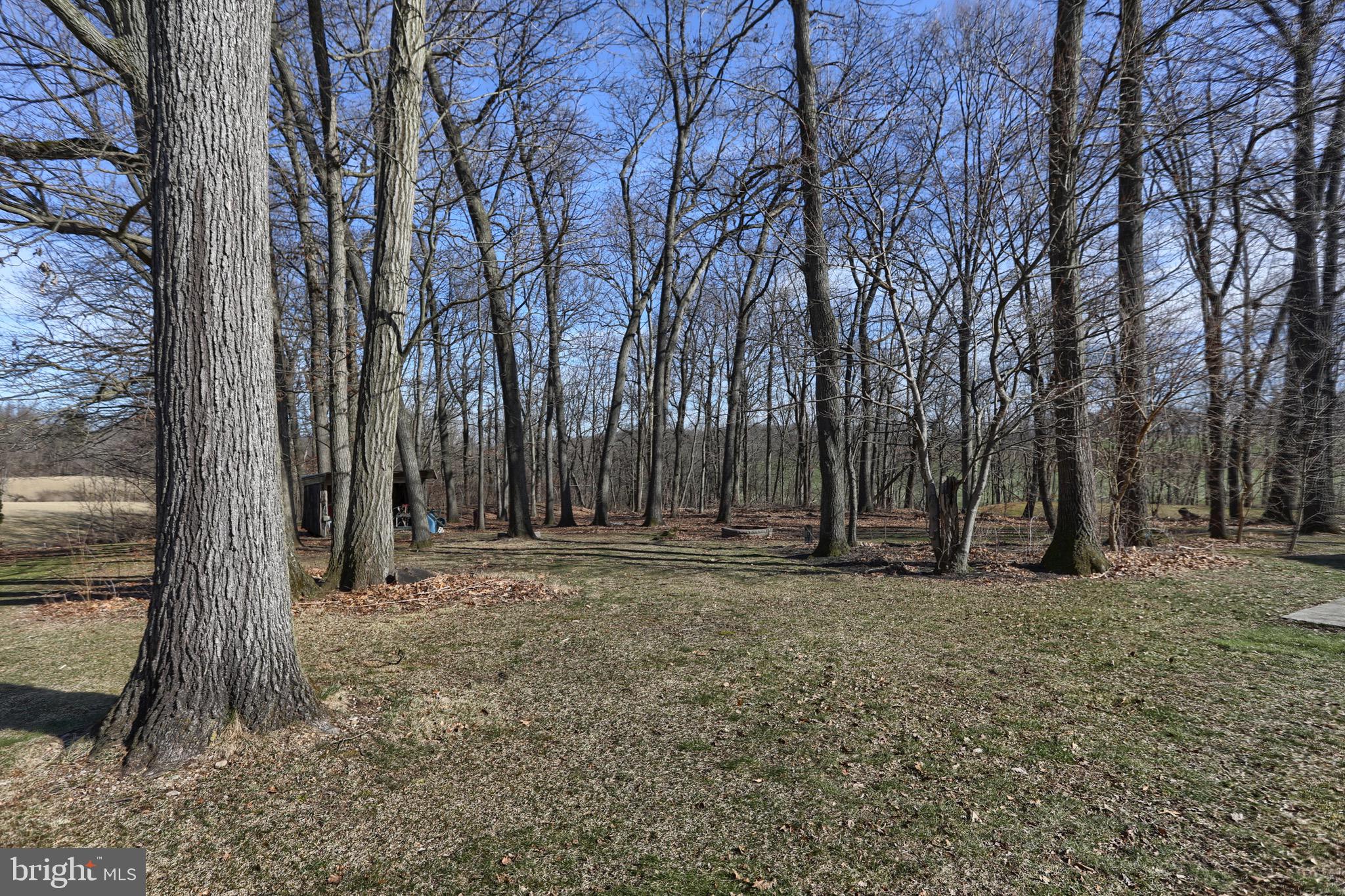 109 Teen Challenge Road Womelsdorf, PA 19567 - Photo 48 of 52 Property back to farm land