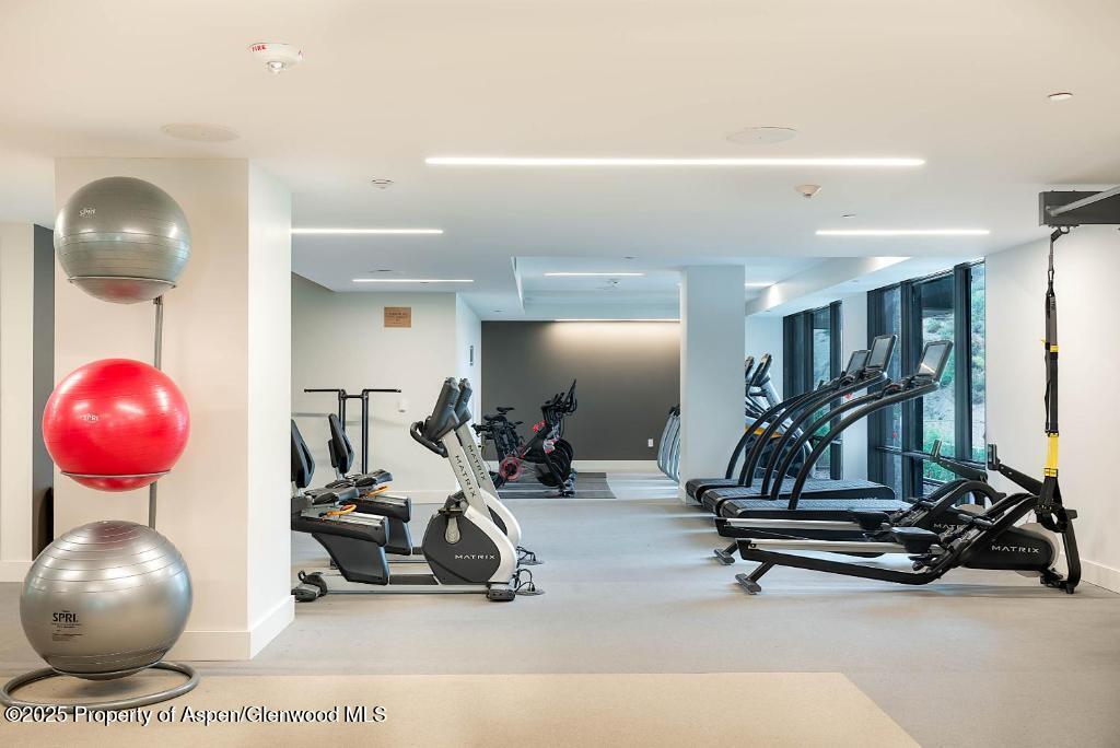 180 Wood Road, Unit 404 Snowmass Village, CO 81615 - Photo 40 of 51 One snowmass fitness