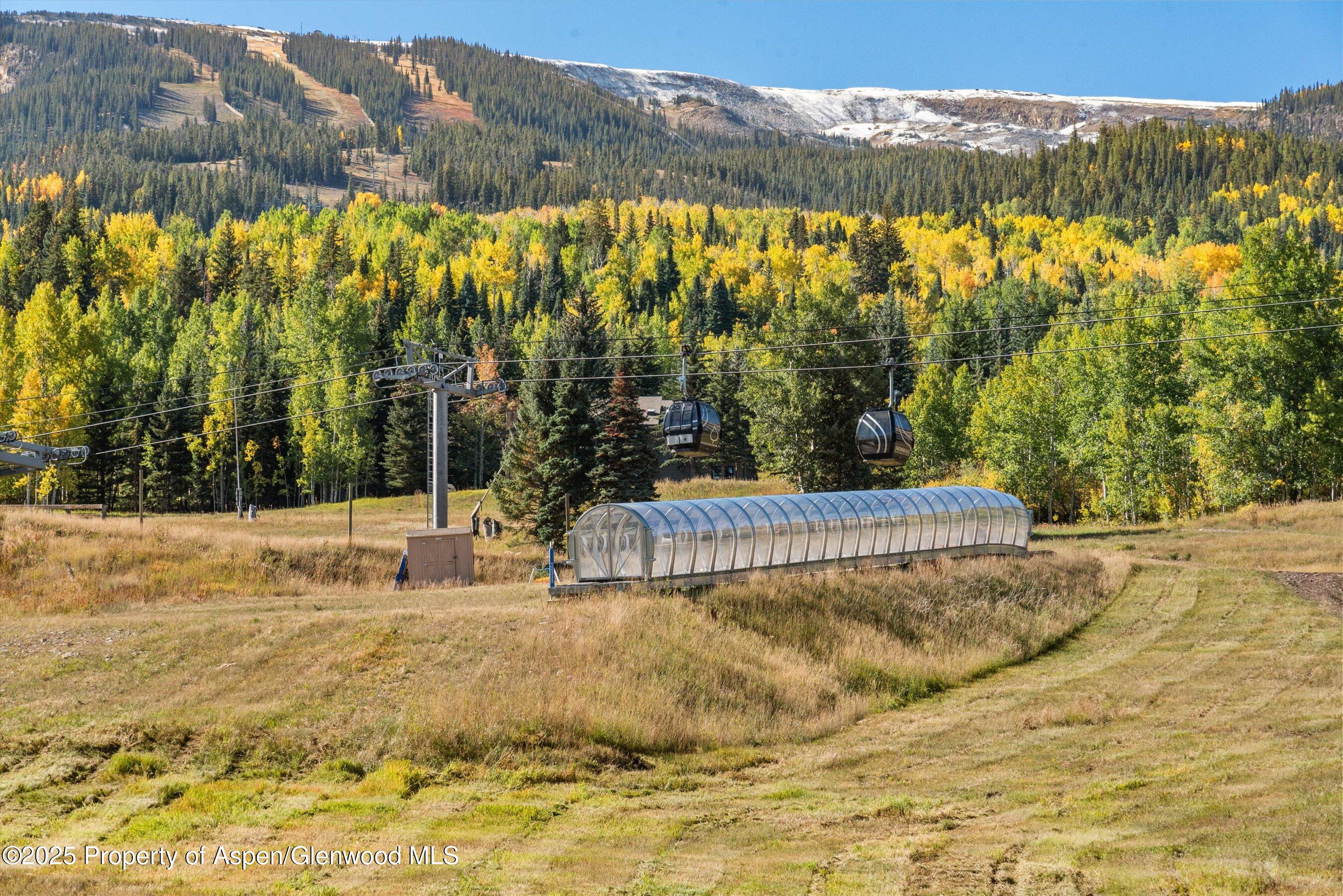 180 Wood Road, Unit 404 Snowmass Village, CO 81615 - Photo 44 of 51 a view of a yard with an trees