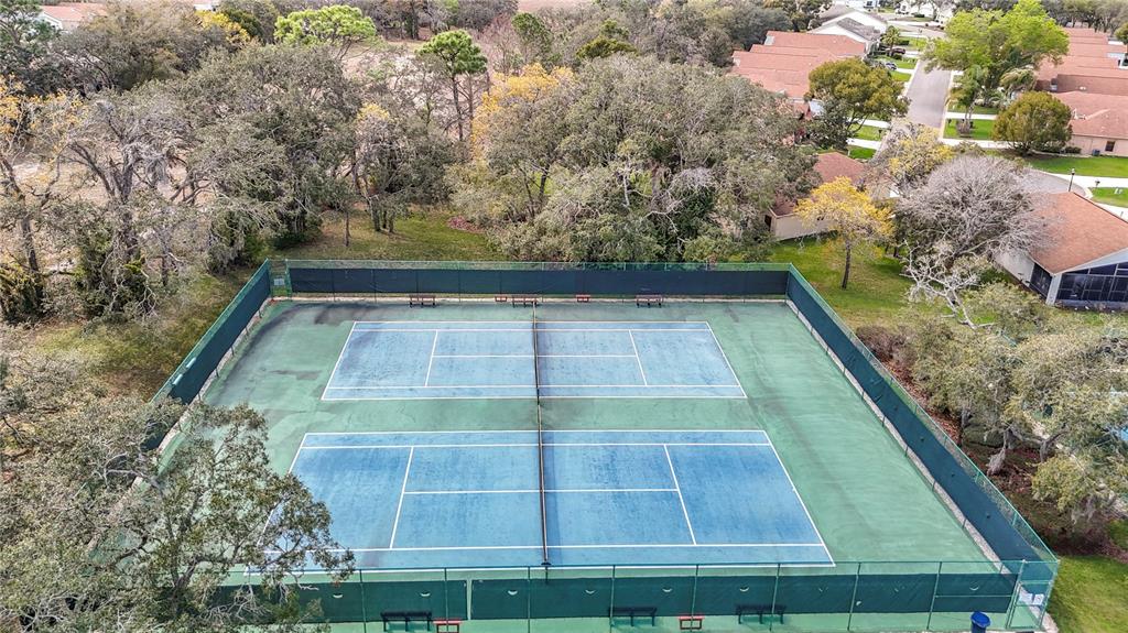 280 Quane Avenue Spring Hill, FL 34609 - Photo 54 of 62