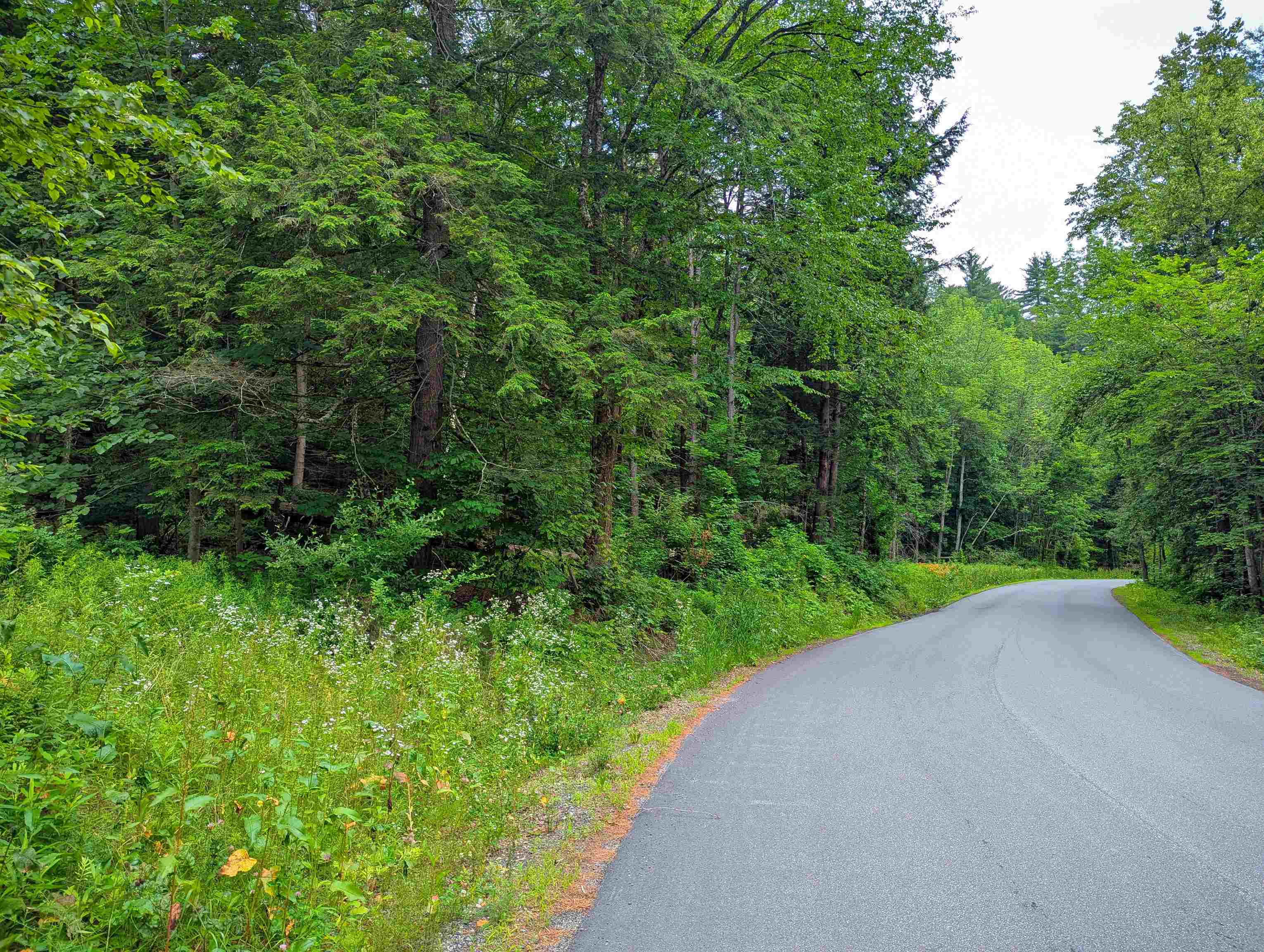 341 Seavers Brook Road Springfield, VT 05156 - Photo 11 of 11