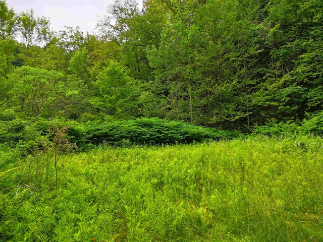 $39,999 | 341 Seavers Brook Road, Springfield, VT 05156