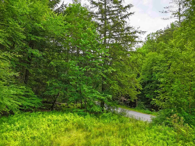 $39,999 | 341 Seavers Brook Road, Springfield, VT 05156