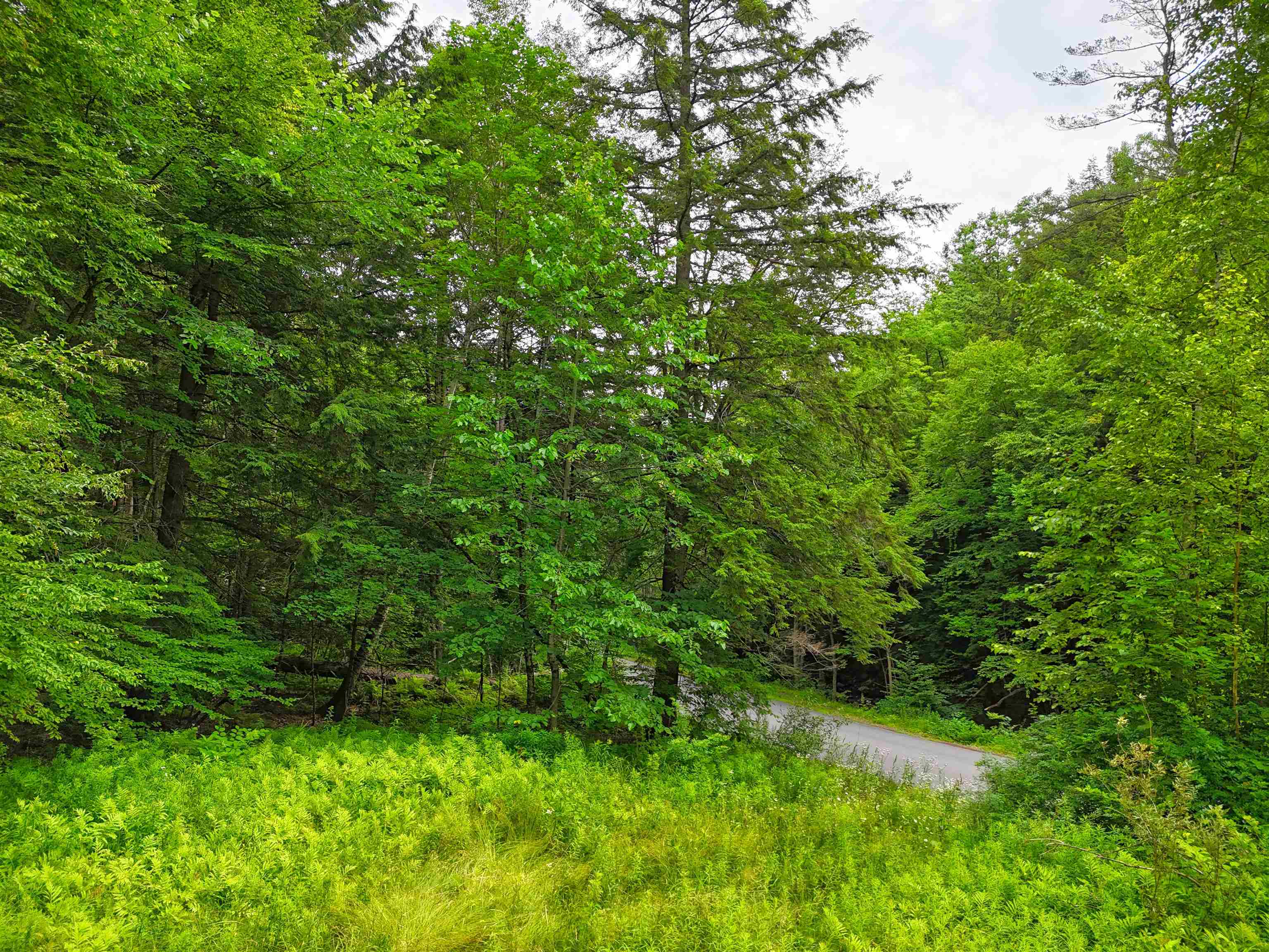 341 Seavers Brook Road Springfield, VT 05156 - Photo 5 of 11