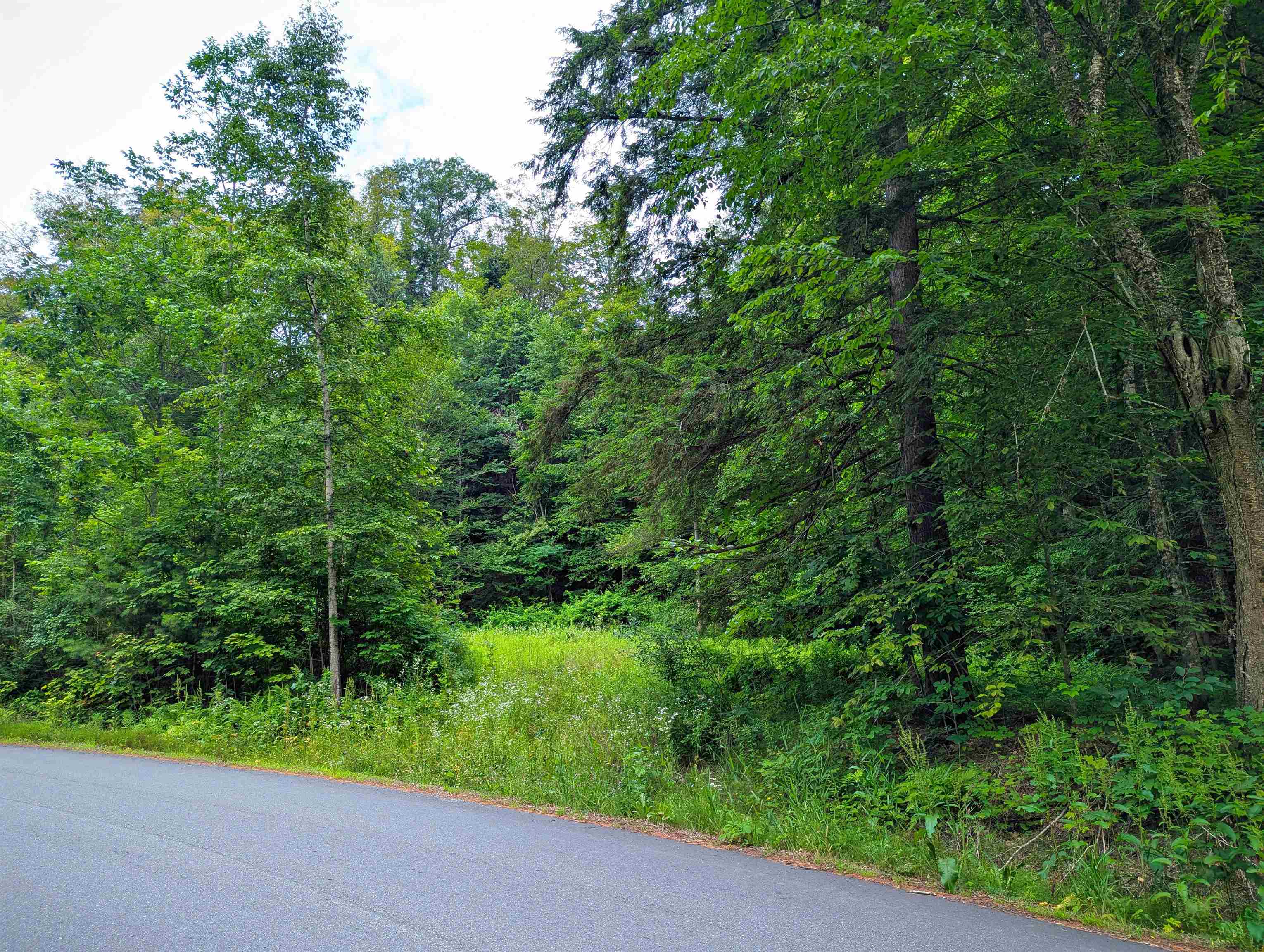 341 Seavers Brook Road Springfield, VT 05156 - Photo 9 of 11