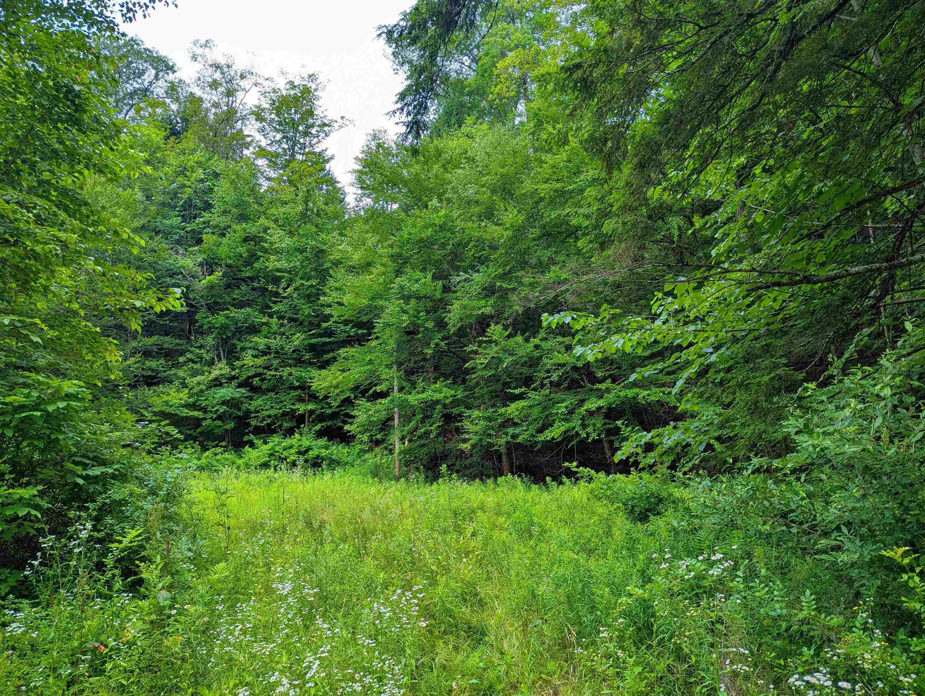 341 Seavers Brook Road Springfield, VT 05156 - Photo 10 of 11