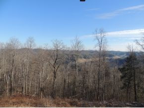 8647 DC Caney Ridge Road Clintwood, VA 24228 - Photo 3 of 12 Mountain Views