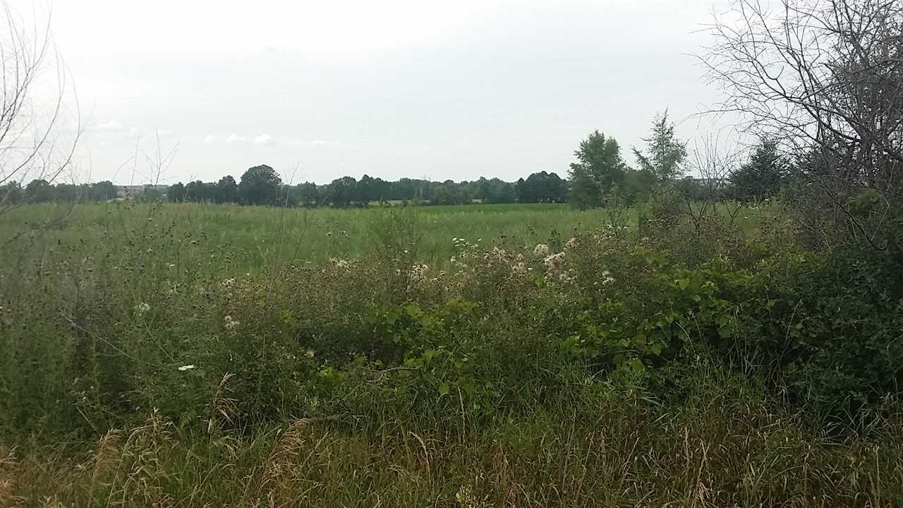 4261 East Wing Road Mount Pleasant, MI 48858 - Photo 5 of 10 1868023-4.JPG
