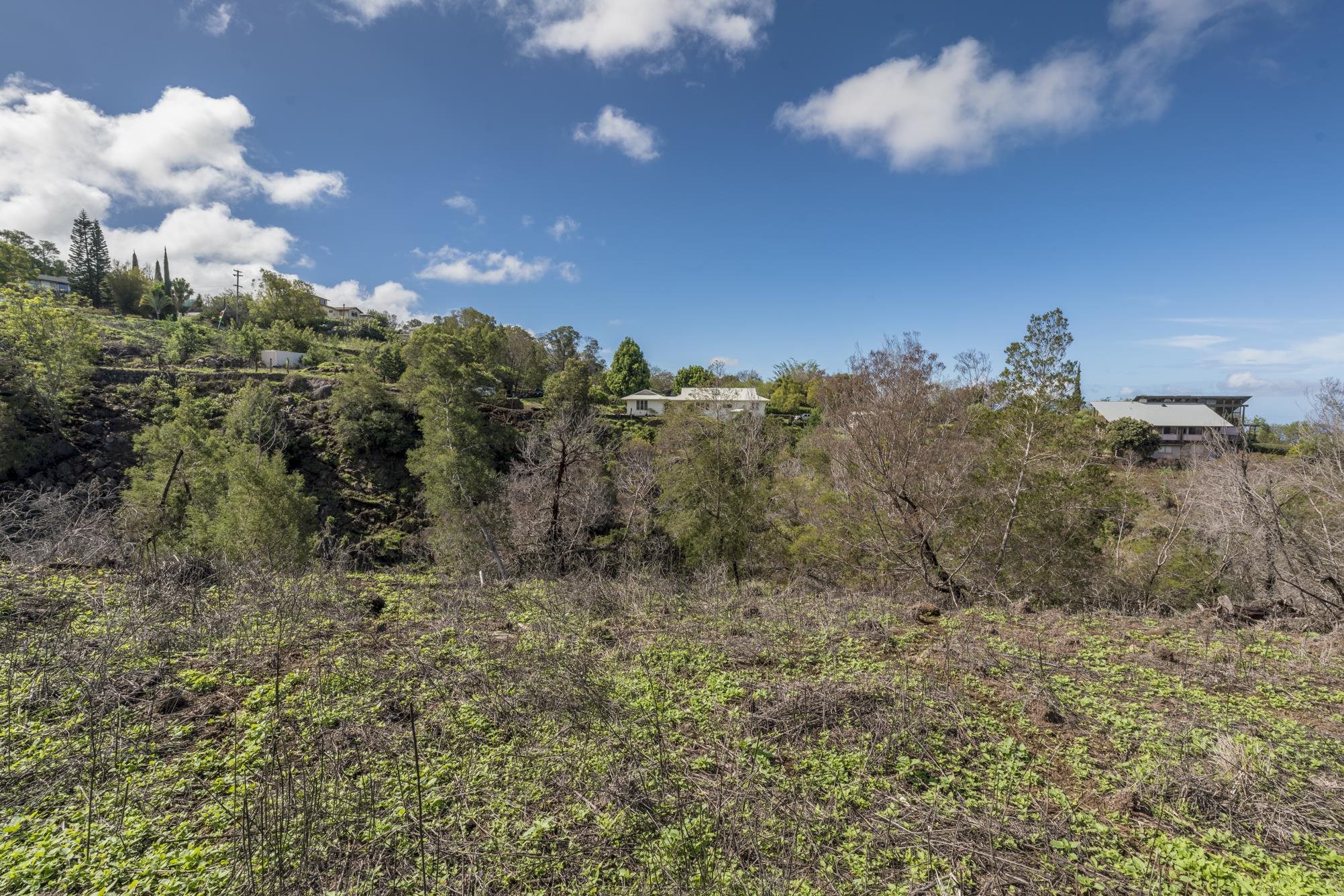 230 Pulehuiki Road, Unit A Kula, HI 96790 - Photo 21 of 29