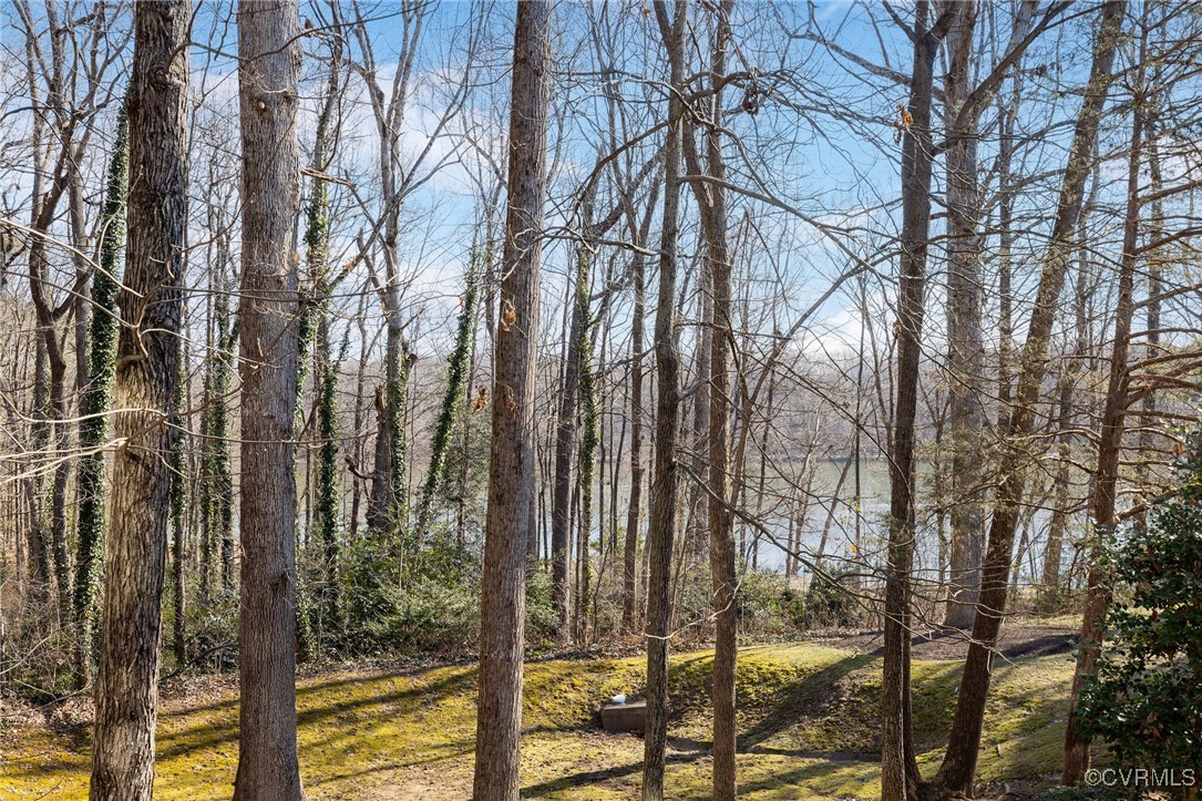 1793 Raintree Commons Drive Henrico, VA 23238 - Photo 26 of 26 Gallery Image 26