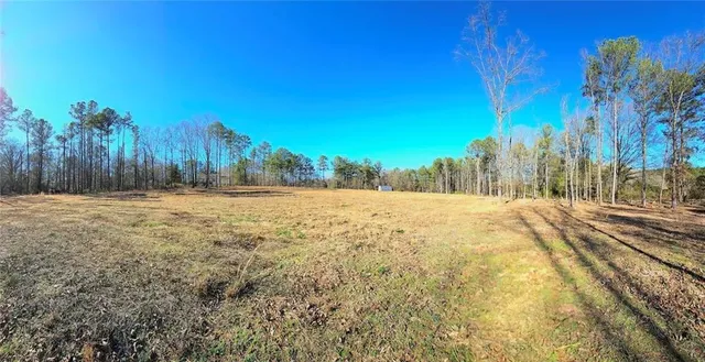 a view of large yard with large trees