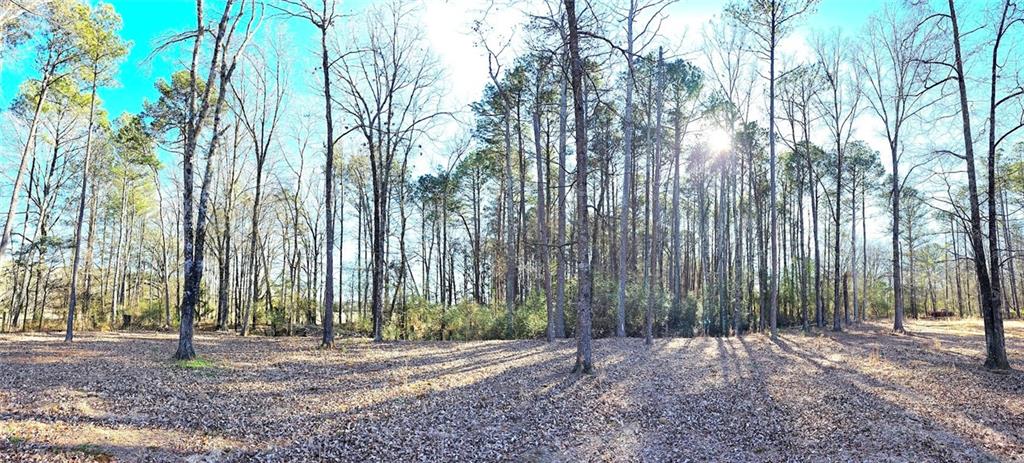 68 Lowery Rd S West Kingston, GA 30145 - Photo 14 of 14 a view of a backyard with trees