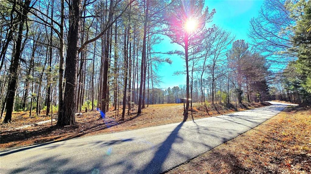 68 Lowery Rd S West Kingston, GA 30145 - Photo 2 of 14 a view of tall trees with sign board