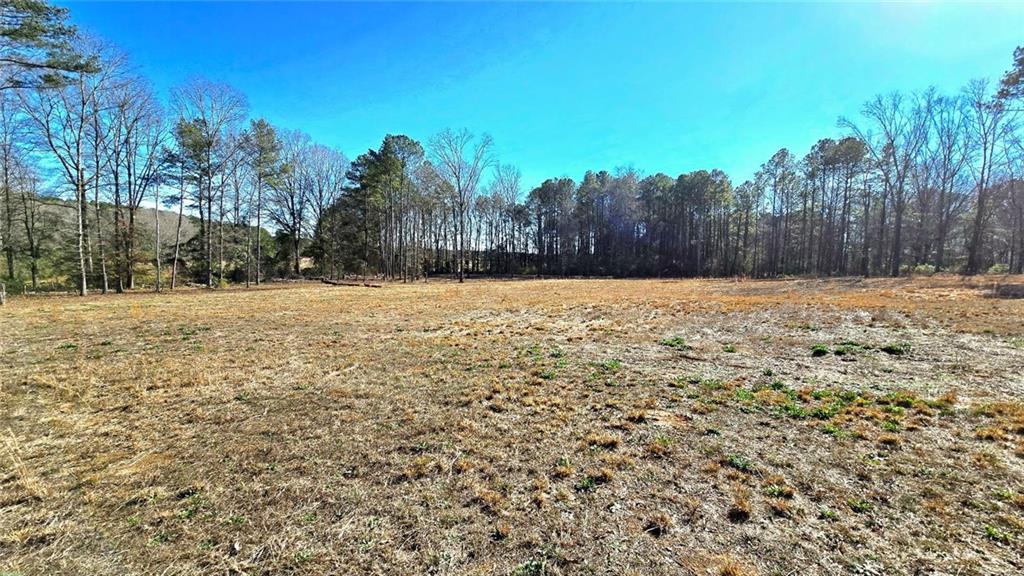 68 Lowery Rd S West Kingston, GA 30145 - Photo 8 of 14 a view of a yard with trees in the background