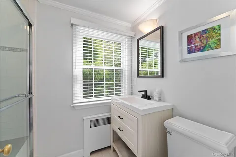 a bathroom with a sink and a toilet