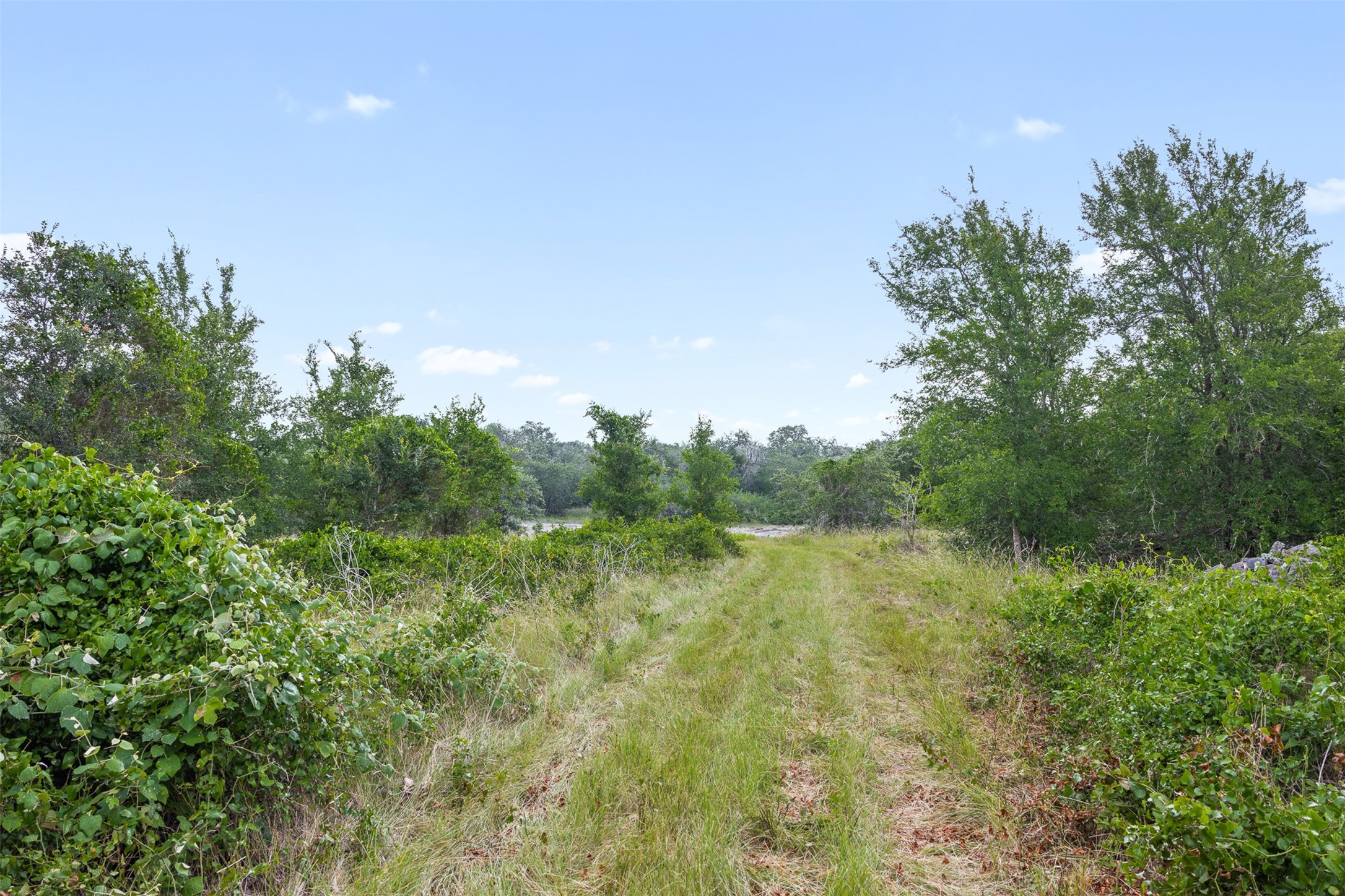 0 Schuster Road Round Top, TX 78954 - Photo 20 of 26