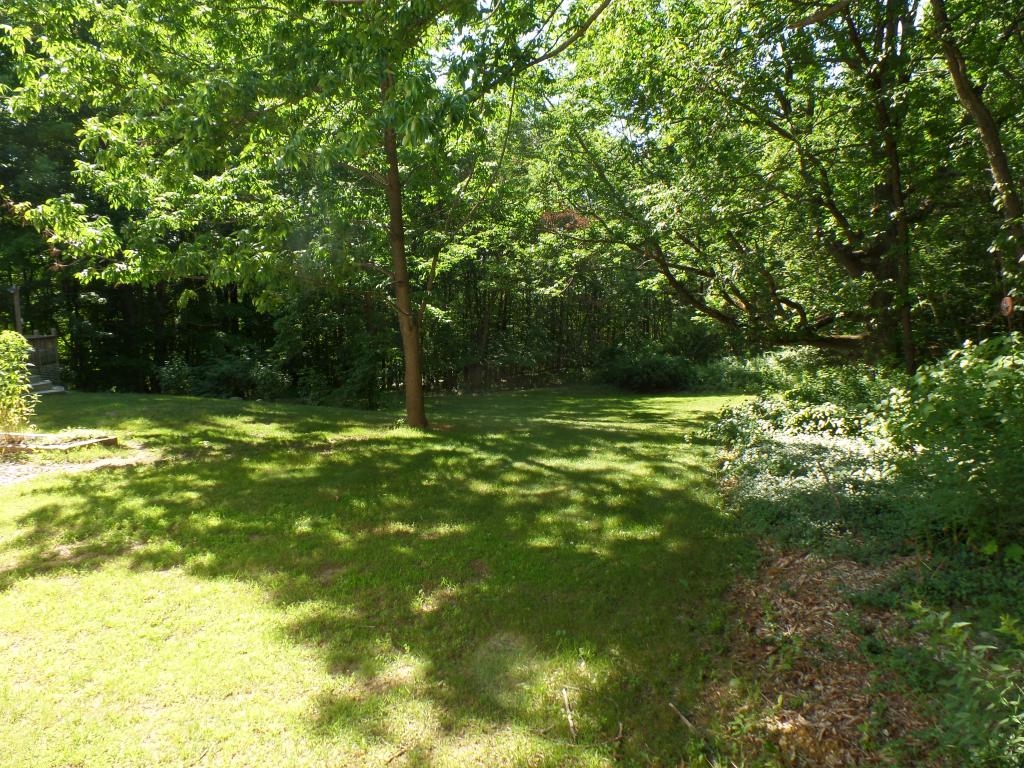 520 Catamount Road Pittsfield, NH 03263 - Photo 8 of 36
