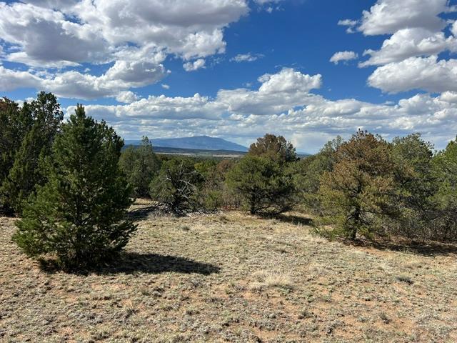 96 River Ridge Trail Walsenburg, CO 81089 - Photo 1 of 28