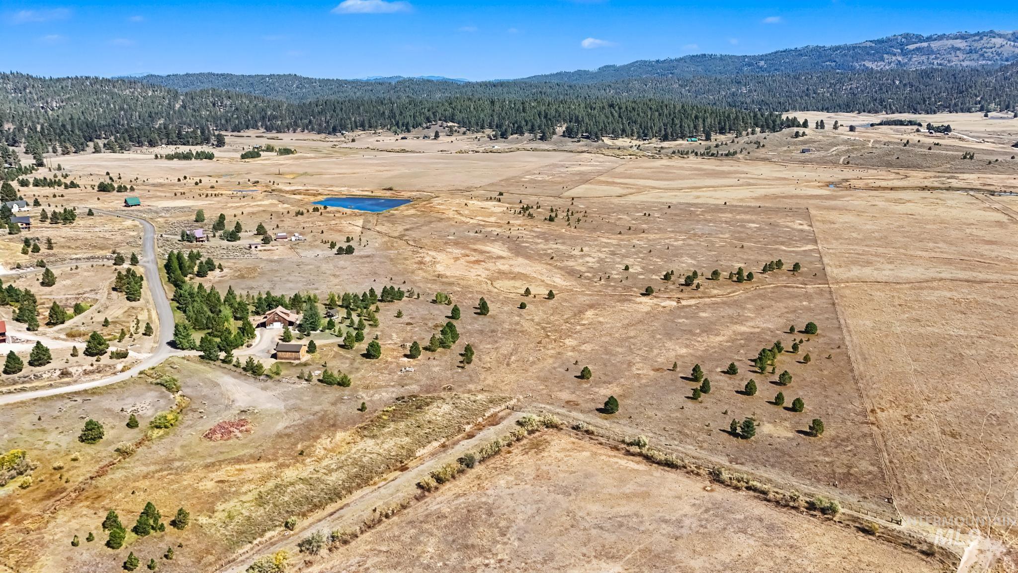 Expansive undeveloped land with a distant natural pond, scattered evergreen trees, and surrounding forested hills