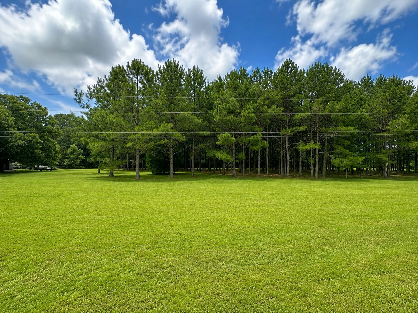28 Bunn Road Kenly, NC 27542 - Photo 2 of 11 895D28BD-6353-45AF-A4D1-F80297A2DD61.png