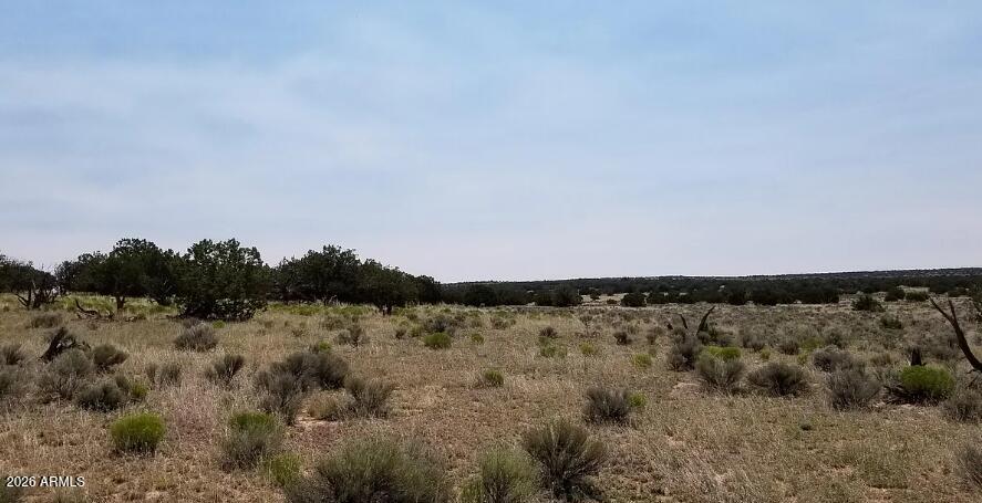 234 County Road St. Johns, AZ 85936 - Photo 9 of 13 234 County Rd N6371