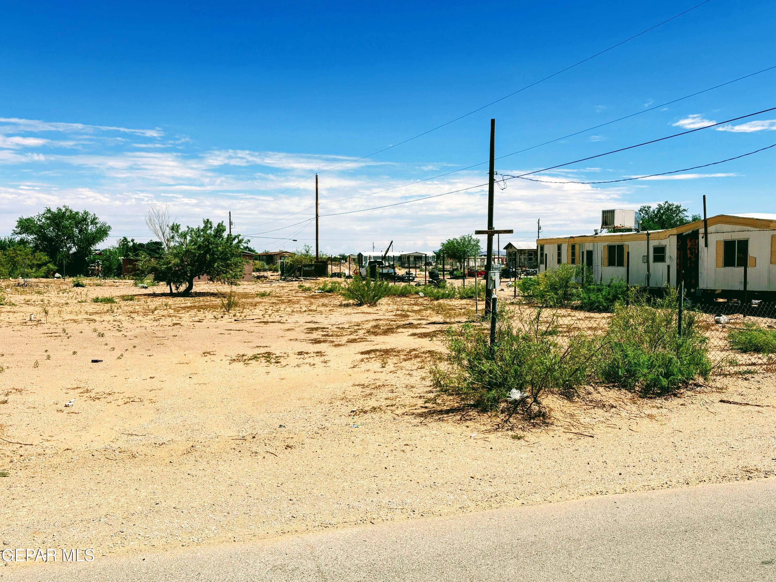 15031 Colonia Campo Road El Paso, TX 79928 - Photo 5 of 11 a row of palm trees and a view of beach