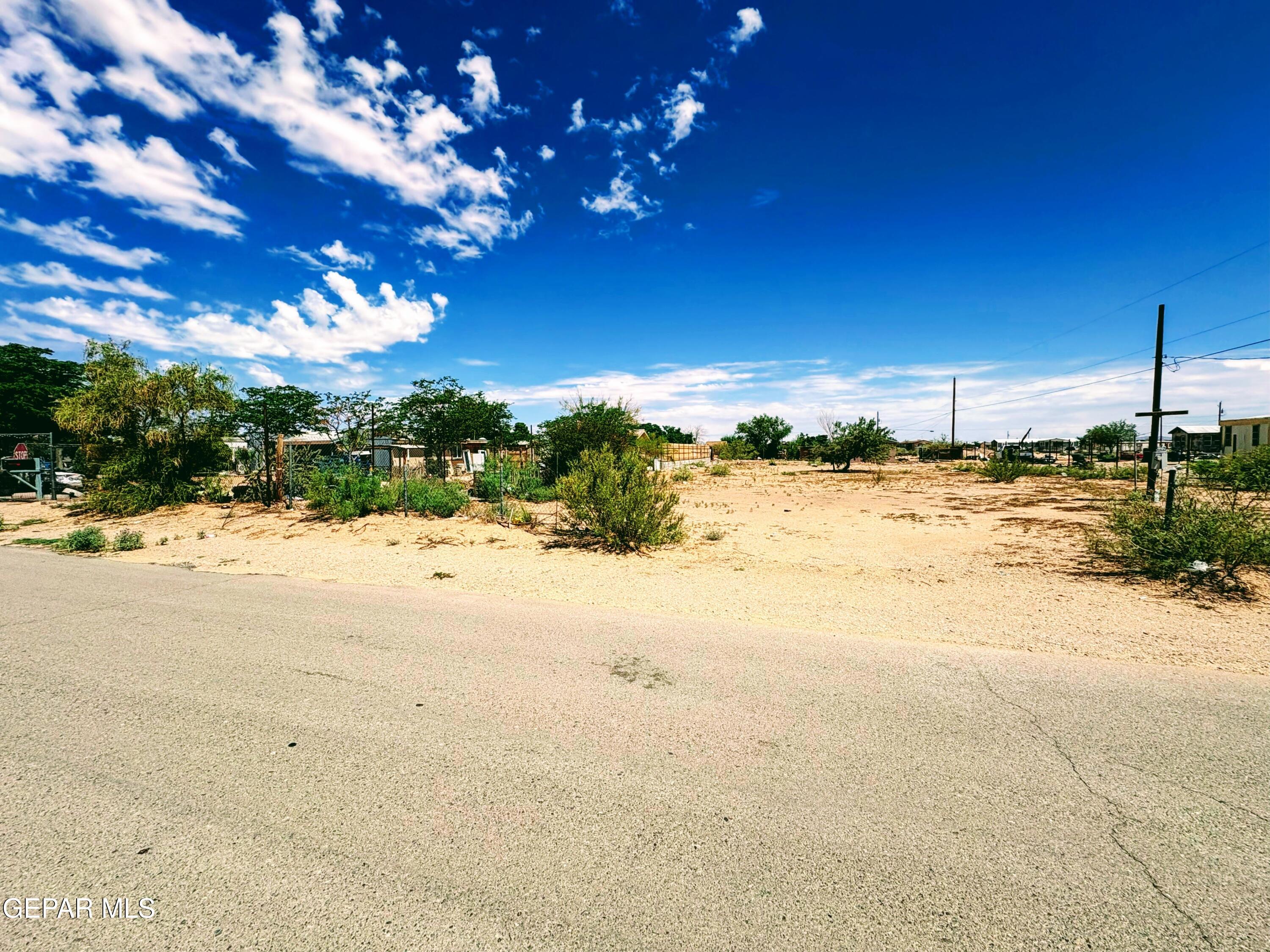 15031 Colonia Campo Road El Paso, TX 79928 - Photo 7 of 11 a view of a yard with a tree