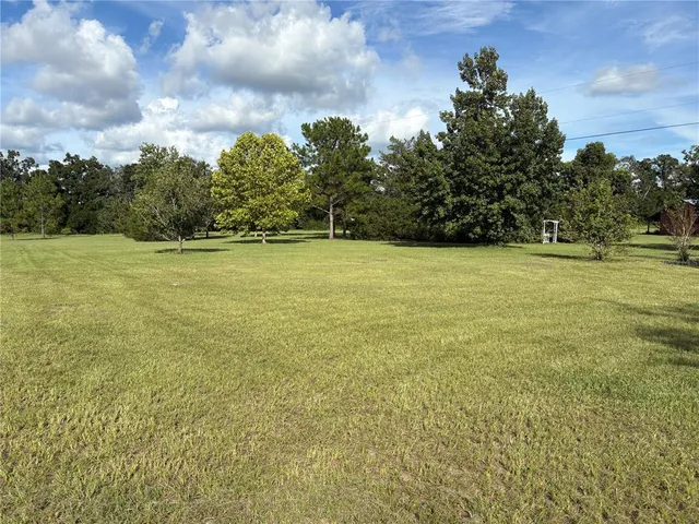 a view of a green field