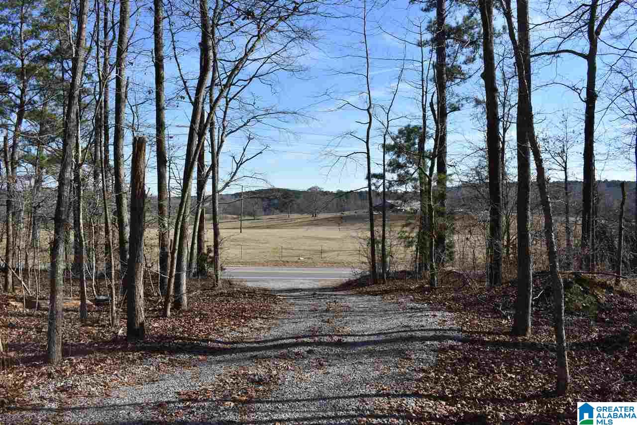 8333 Chelsea Road Columbiana, AL 35051 - Photo 50 of 50