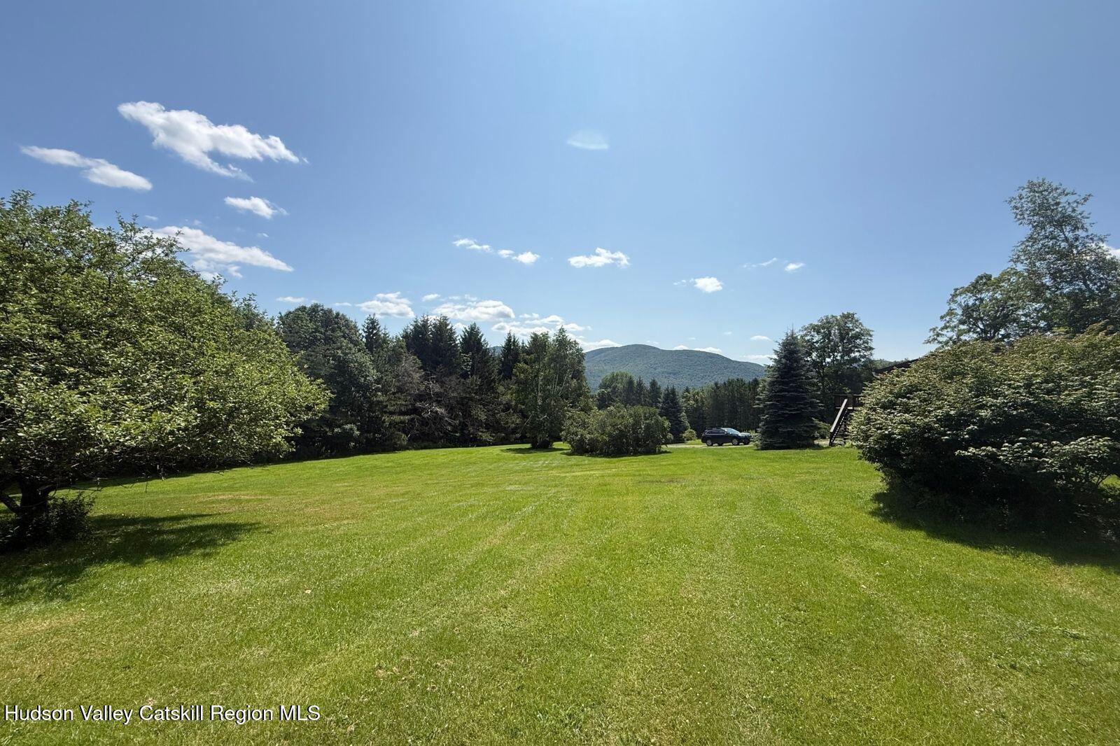 1339 Hard Scrabble Road Roxbury, NY 12474 - Photo 40 of 40 40