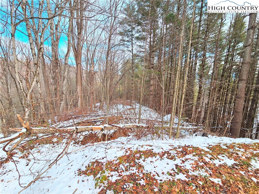 West Mill Creek Road Warrensville, NC 28693 - Photo 4 of 13 a view of a backyard of the house