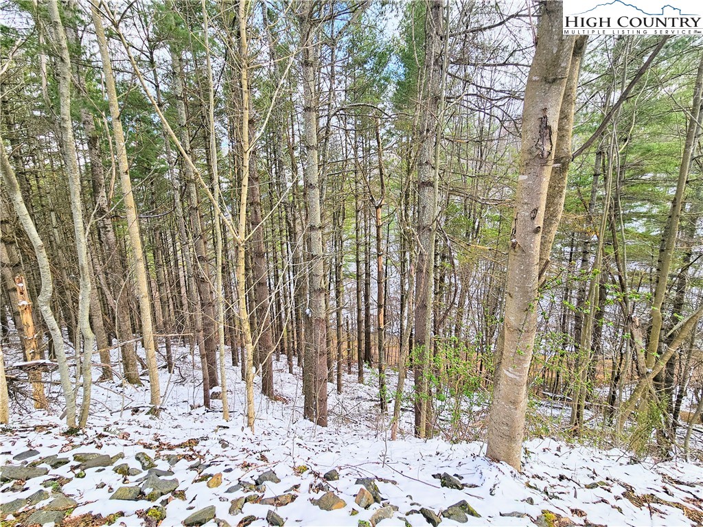 West Mill Creek Road Warrensville, NC 28693 - Photo 5 of 13 a view of a backyard with a large tree