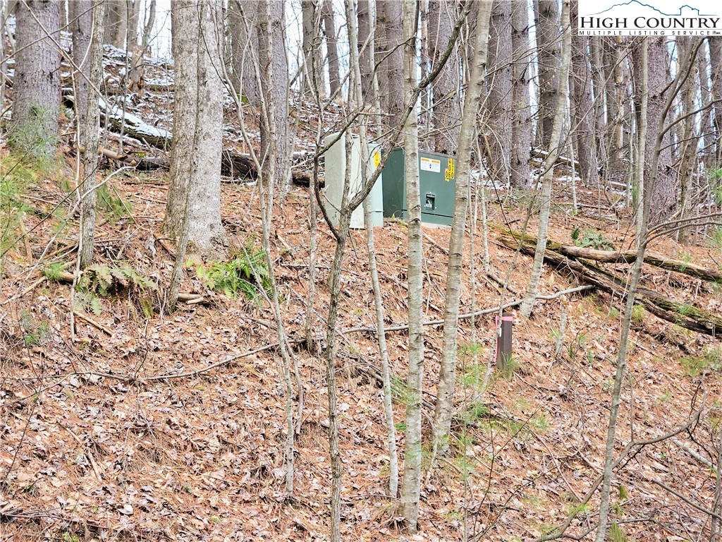 West Mill Creek Road Warrensville, NC 28693 - Photo 6 of 13