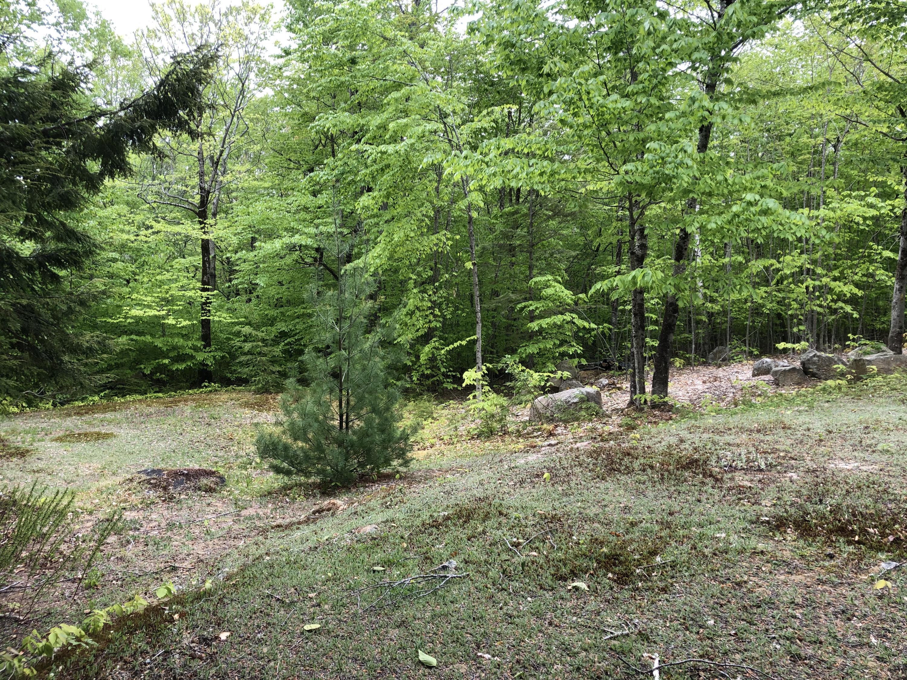 68 Hilltop Road Chesterville, ME 04938 - Photo 24 of 33 IMG-7124