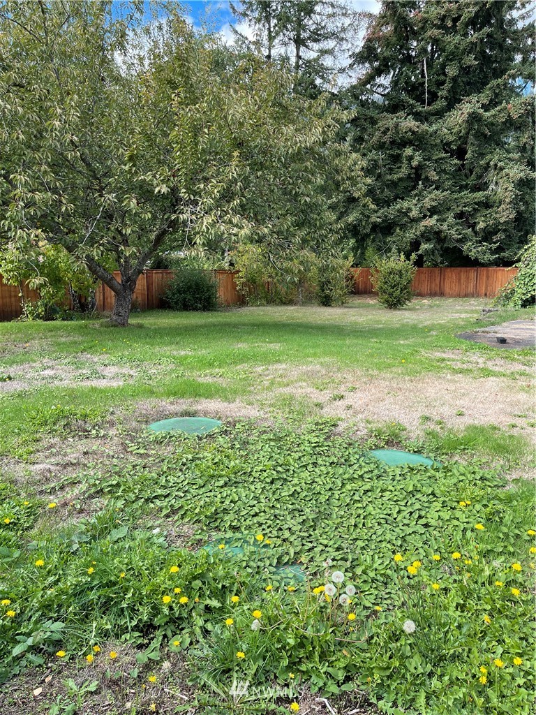 125 Gharet Road Randle, WA 98377 - Photo 16 of 17 Gallery Image 16