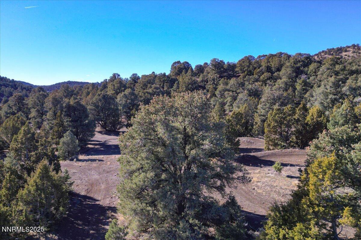 2120 Scorpion Road, Unit 212 Reno, NV 89521 - Photo 11 of 28 31-2120 Scorpion Rd Reno NV 89521 (31 of