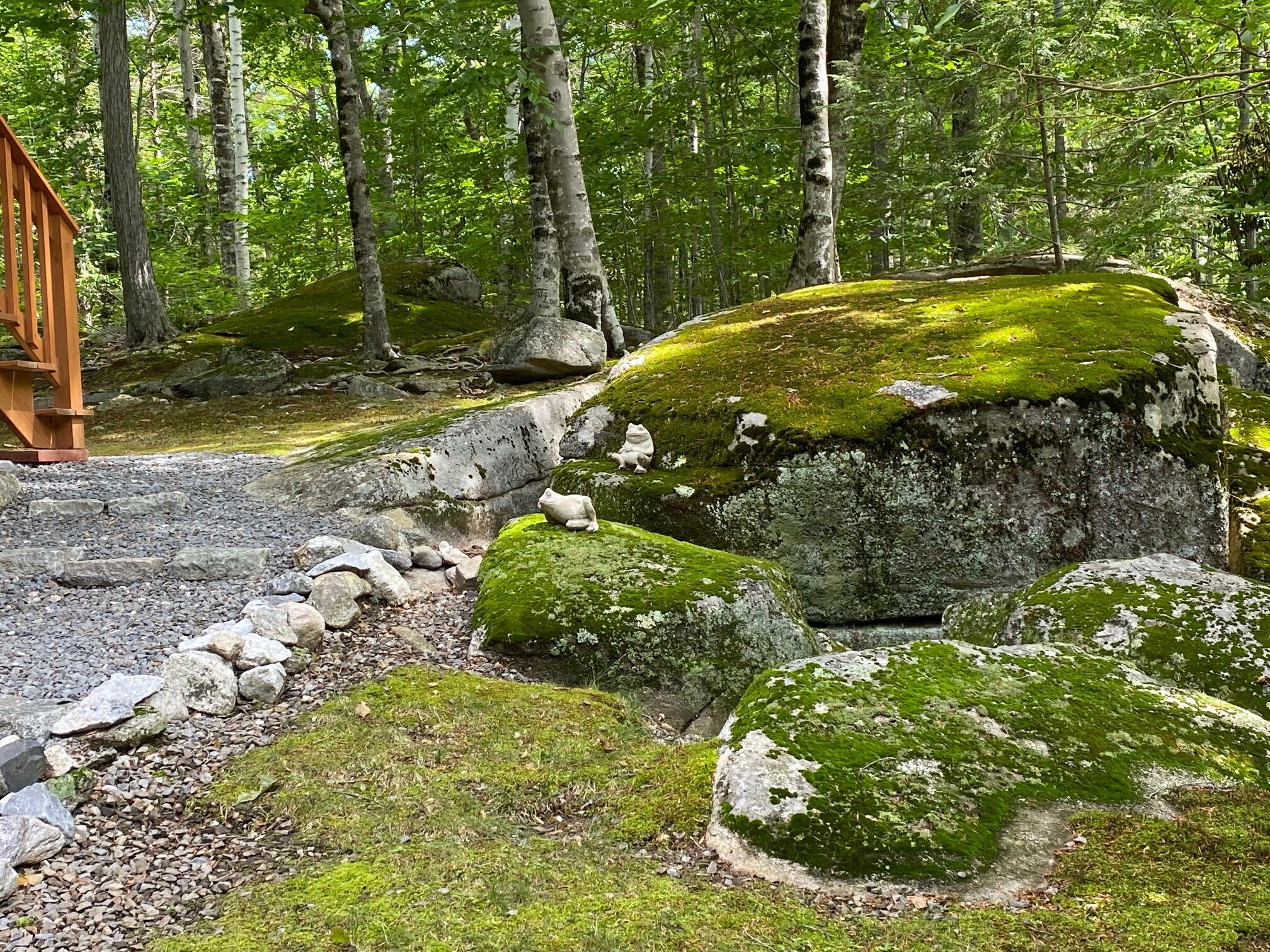 79 Sunset Road Frye Island, ME 04084 - Photo 10 of 30 IMG_7636