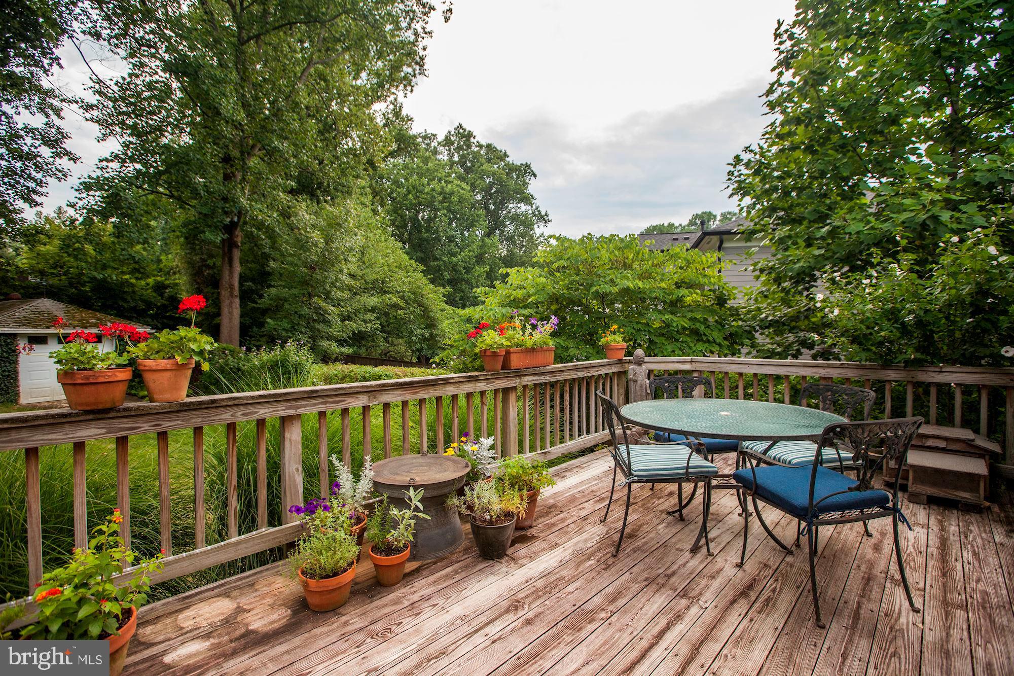 6212 Walhonding Road Bethesda, MD 20816 - Photo 56 of 60 View from wooden deck