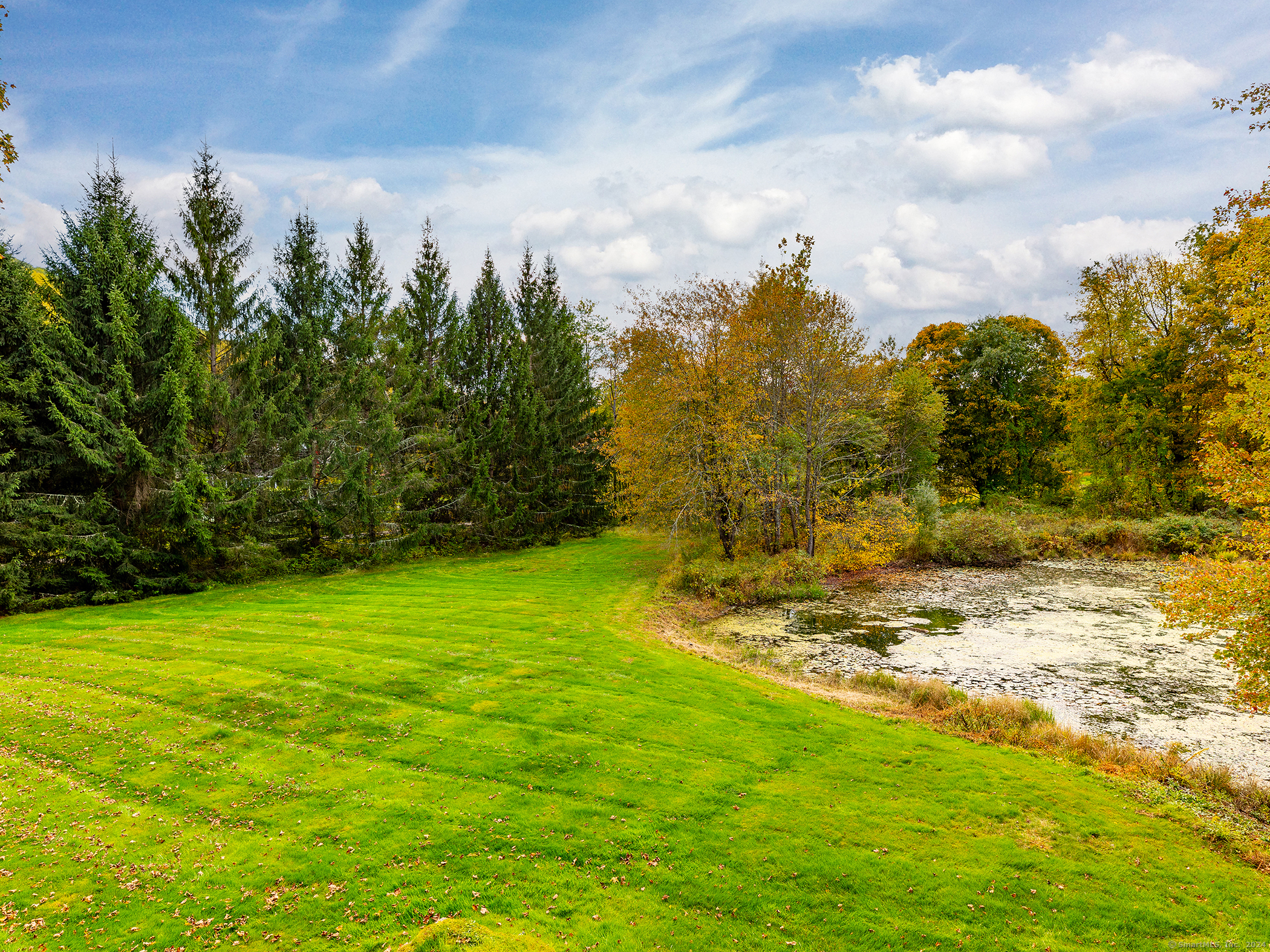 379 Lake Road Warren, CT 06777 - Photo 32 of 36 a view of a big yard with lots of green space