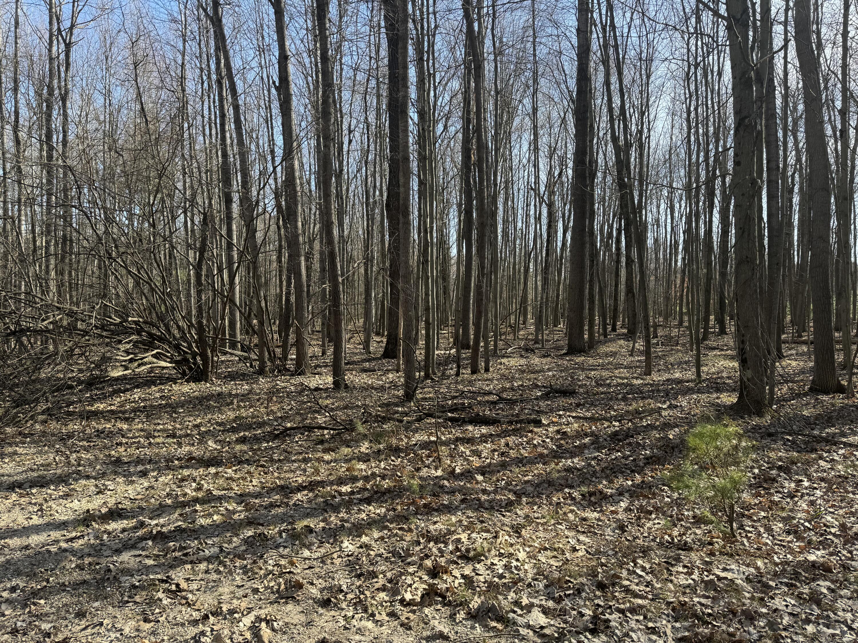6060 Deerfield Road Canadian Lakes, MI 49346 - Photo 8 of 8 IMG_0762