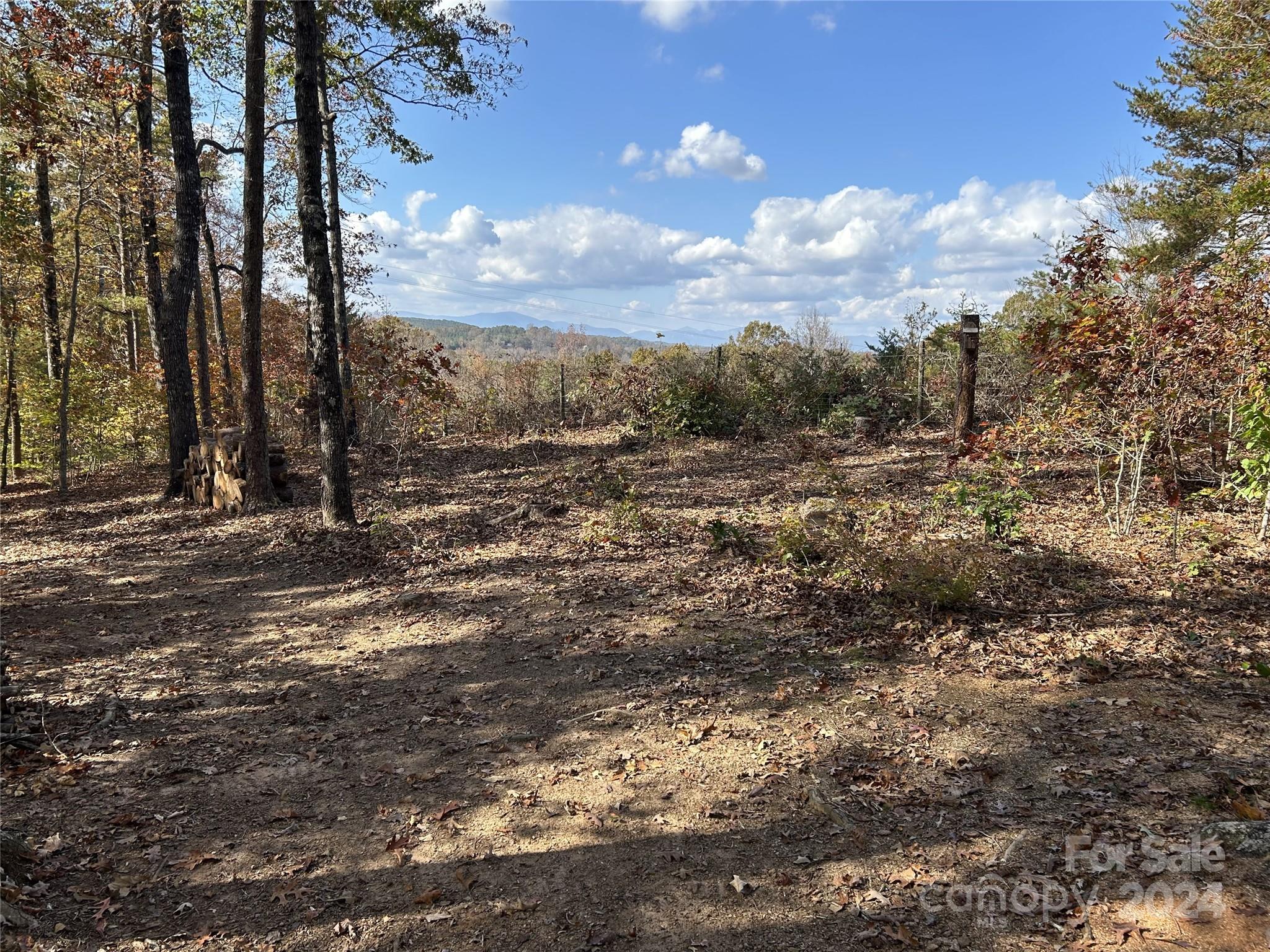 608 River Ridge Parkway Rutherfordton, NC 28139 - Photo 4 of 48