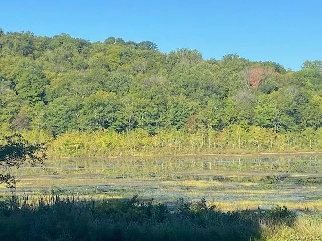 a view of a lake with a yard